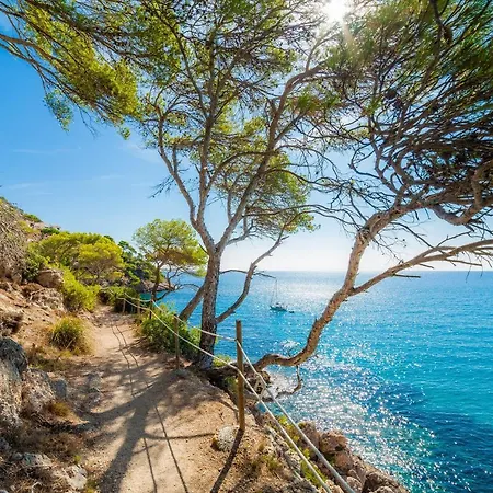 Massanet 2c Canyamel (Mallorca)